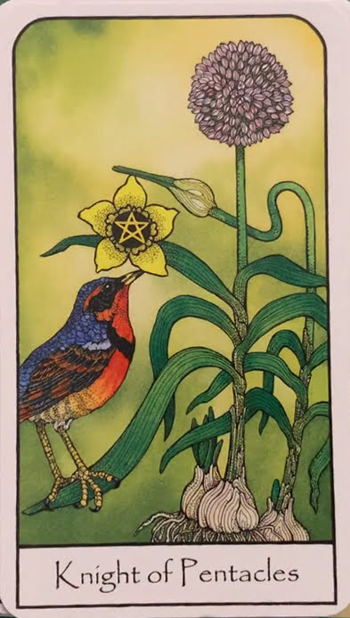 Nature Spirit Tarot
